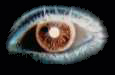 Eye-opener - my eyeball