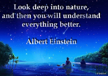 Albert Einstein - I just love this!