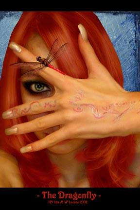 The Dragonfly - I just love this jpeg and had to use it!