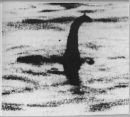 Nessie - Nessie, the Loch Ness Monster...among several that are believed to inhabit the deep cold waters on land locked waters.