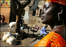 senegal - The rapid flow of Africans from rural areas to fast-growing cities in search of new opportunities is transforming places like Dakar, Senegal. Such urbanization is changing elements of culture, from birth to burial rites, dating to divorce, and even wrestling, one of West Africa's oldest traditions and most popular sports.