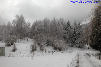 winter - What do you like to do in winter?