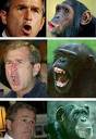 bush - bush=monkey  monkey=bush