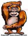 looking for my bro - where is my bro bush..have u seen him