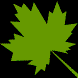 Maple leaf - Maple leaf