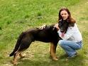 Dog - Lovely dog.