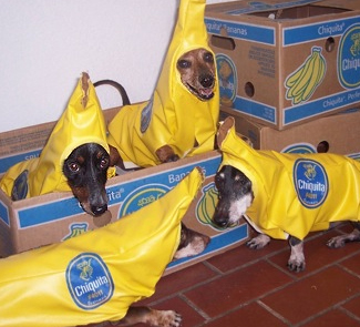 Nanner... - Anyone?