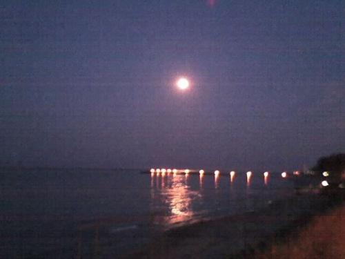 night - night in neptun