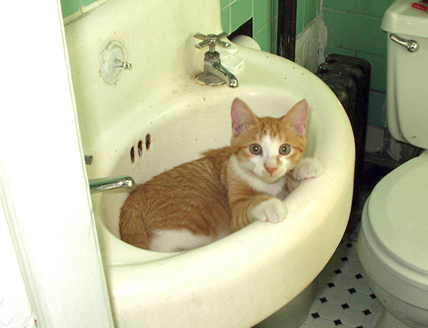 Well Mommy... - I needed to get washed!
