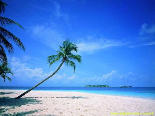 Isnt this beautiful? - Isnt this beautiful?