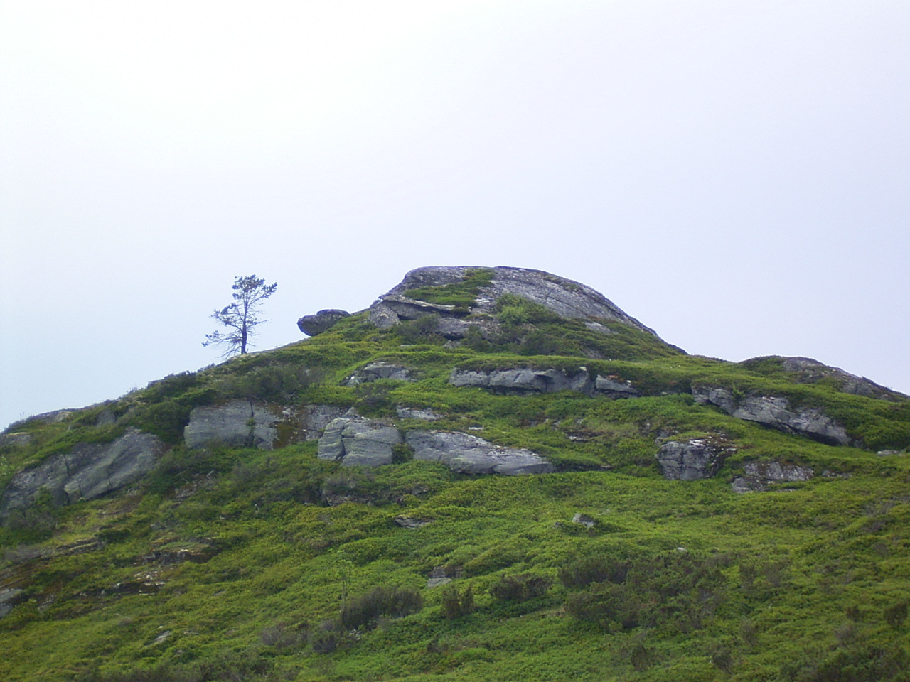 rock turtle - a formation of rocks that looks like a turtle