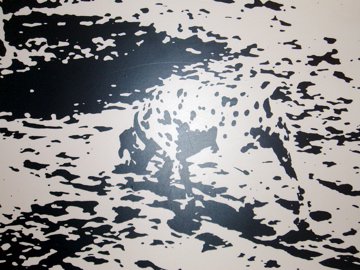 Dalmatian - Can you find it?
