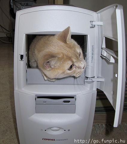 ha ha ha ! - i wish i could do this !