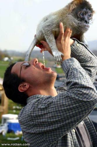 Refreshing - what you see is what you get.. ripley's believe it on not!