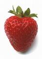 strawberries are tasty..yummy - strawberries