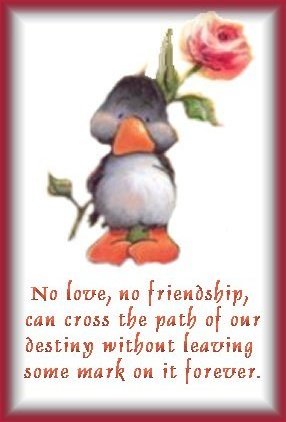 friends - friends