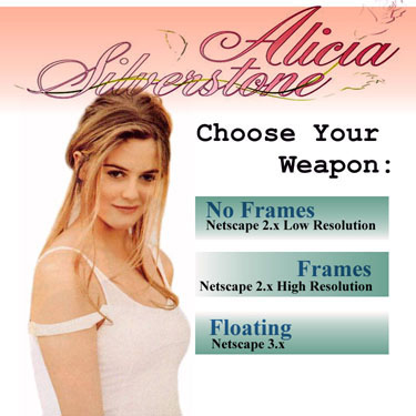 Alicia Silverstone - Alicia Silverstone