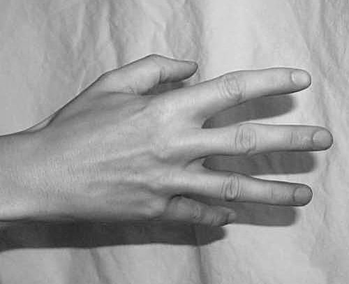 hand - a picture of a hand .......................