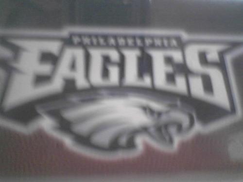Eagles - My favorite NFL team, the Philadelphia Eagles.