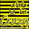 crazy - crazy