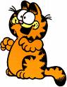 garfield the cute fat cat! - agarfield the cute fat cat!