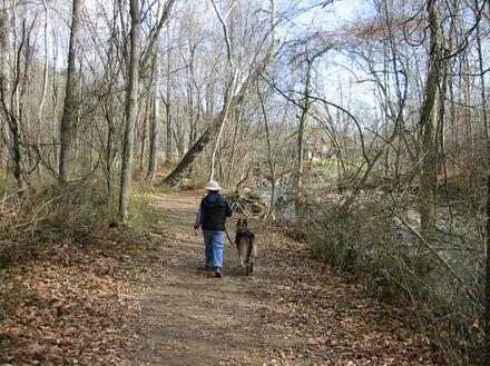 Morning Walk - Morning Walk