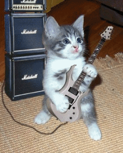 Pets use to - Pets use to play guitar?
