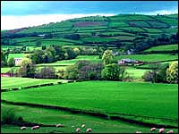 Wales - Green valleys of wales Wales - Green valleys of wales