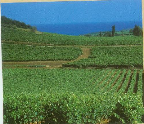 Green Valley - Green Valley