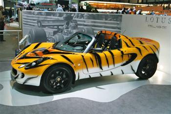 Lotus Elise Tiger Car - OH MY GOD I WANT THIS CAR. Even more so in tiger form. And they are cheap too!!