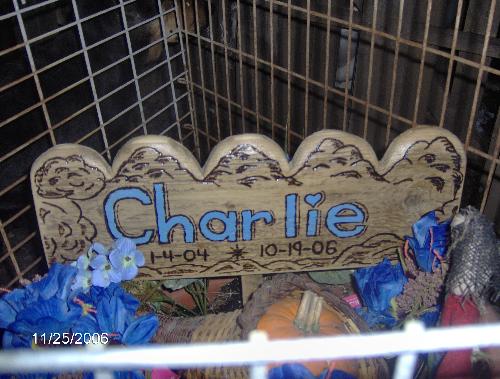 Charlie memorial - Charlie Memorial