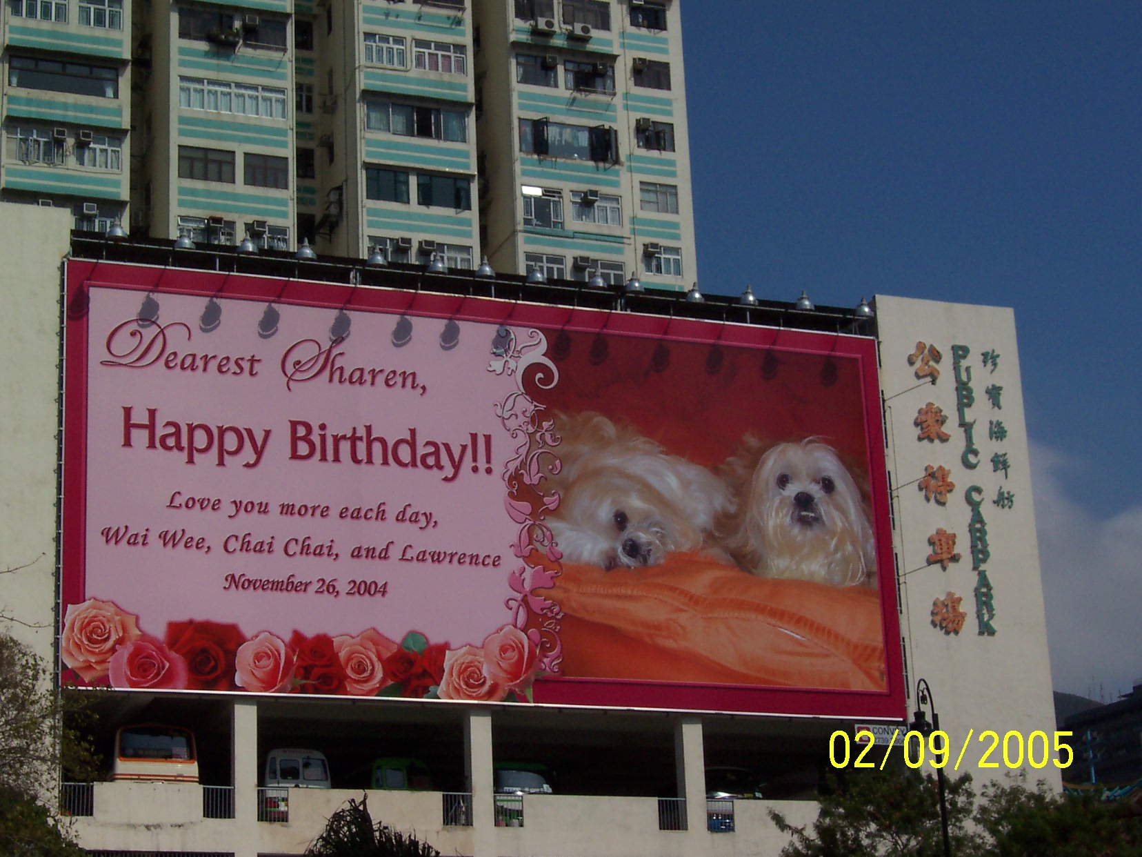 True Love? - I never see this before...The husband who love his wife, give his present to his wife on her birthday.. Wow..