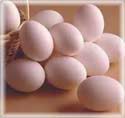 EGGS!! - I love eggs