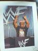 Stone cold - Stone cold steve austin 360 is the one of the best wrestler of his time. He is very dangerous enemy for the opponents and rocking at that time and still now also. One of his best match i have in my life is with triple -h. I love his music and