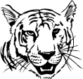 Tiger - Tiger