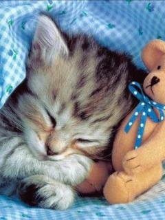 Sleeping - nice sleeping.