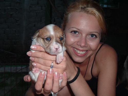 puppy - aren't they great??