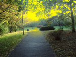 walking - nice view:))