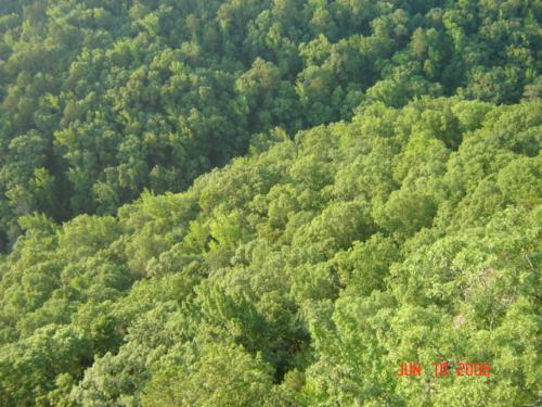Pretty! - This is a picture of Petit Jean mountian in Morrilton, Arkansas.  It's an awesome, gorgeous place with many attractions to visit. =)