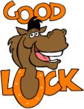 Lots of Luck to You! - Horse wearing a good luck horseshoe