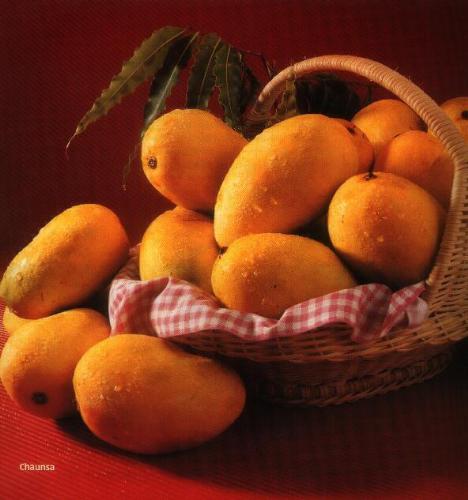 mango - i love mango's a lot