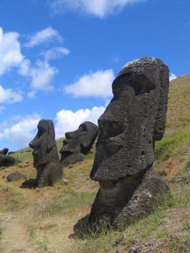 Moai Rano raraku - Moai are statues carved from compressed volcanic ash on Rapa Nui, Chile (Easter Island). The statues are all monolithic, that is, carved in one piece. The largest moai erected, 'Paro', was almost 10 metres (33 feet) high and weighed 75 tonnes (74 Imperial tons, 83 American tons). One unfinished sculpture has been found that would have been 21 metres (69 ft) tall and would have weighed about 270 tons.  Fewer than one-fifth of the statues that were moved to ceremonial sites and then erected once they had red stone cylinders (pukau) placed on their heads. These 'topknots', as they are often called, were carved in a single quarry known as Puna Pau. About 95% of the 887 moai known to date were carved out of compressed volcanic ash at Rano Raraku, where 394 moai still remain visible today. Recent GPS mapping in the interior may add additional moai to that count. The quarries in Rano Raraku appear to have been abandoned abruptly, with many incomplete statues still in situ. However, the pattern of work is very complex and is still being studied. Practically all of the completed moai that were moved from Rano Raraku and erected upright on ceremonial platforms were subsequently toppled by native islanders in the period after construction ceased. Maps of Easter Island showing locations of Moai Enlarge Maps of Easter Island showing locations of Moai A close up of the moai at Ahu Tahai, restored with coral eyes by the American archaeologist William Mulloy Enlarge A close up of the moai at Ahu Tahai, restored with coral eyes by the American archaeologist William Mulloy  Although usually identified as 'heads' only, the moai are actually heads and truncated torsos.  In recent years, toppled moai have been found untouched and face-down. This led to the discovery that the famous deep eye sockets of the moai were designed to hold coral eyes. Replica eyes have been constructed and placed in some statues for photographs.  The most widely accepted theory is that the statues were carved by the Polynesian colonizers of the island beginning by about A.D. 1000–1100. In addition to representing deceased ancestors, the moai, once they were erect on ceremonial sites, may also have been regarded as the embodiment of powerful living chiefs. They were also important lineage status symbols. The moai were carved by a distinguished class of professional carvers who were comparable in status to high-ranking members of other Polynesian craft guilds. The statues must have been extremely expensive to craft; not only would the actual carving of each statue require effort and resources, but the finished product was then hauled to its final location and erected. It is not known exactly how the moai were moved but the process almost certainly required human energy, ropes, wooden sledges and/or rollers. Another theory is that the moai may have been 'walked' by rocking them forward. (Pavel Pavel and his successful experiment showed that only 17 people with ropes are needed for relatively fast transportation of the statues). By the mid-1800s, all the moai outside of Rano Raraku and many within the quarry itself had been knocked over. Today, about 50 moai have been re-erected on their ceremonial sites.  Ancient island legends speak of a clan chief called Hotu Matu'a, who left his original home in search of a new one. The place he chose is now known to us as Easter Island. When he died, the island was divided between his six sons and later sub-divided among their descendants. The islanders may have believed that their statues would capture the chiefs' 'mana' (supernatural powers). They may have believed that by concentrating mana on the island good things would result, e.g., rain would fall and crops would grow. The settlement legend is a fragment of what was surely a much more complicated and multi-faceted, mythic sketch, and it has changed over time.