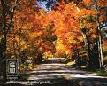 autumn - Do you like autumn? I like it cos it is very colorful.Leaves are changing colors and thats the best part there.