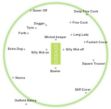 cricket - it shows the position for fielding in ground during match