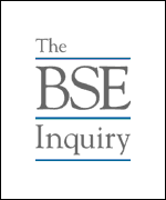BSE - Logo