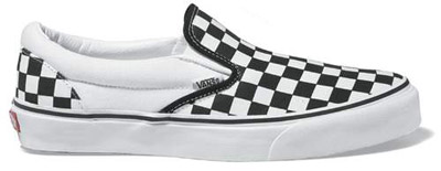 vanz  - vanz rawk