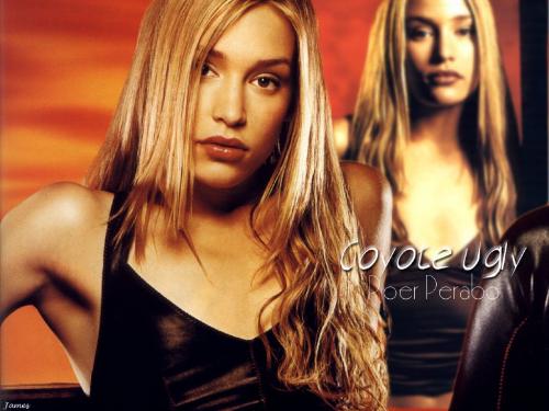 Coyote Ugly (02) - Movie