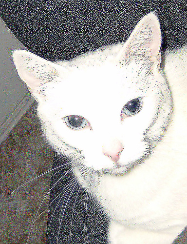 Allison pt. 4 - Another picture of allison and her close up.