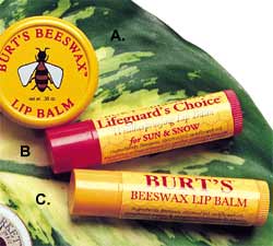 my favorite chapstick - I really don't know if I could survive without my Burt's Bees.