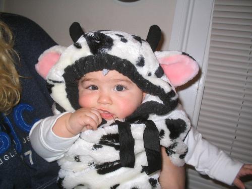 Gloria-B-Belle - My youngest niece was a cow for her first halloween. Isnt she the prettiest cow?
